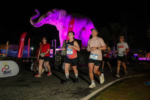 BIB: 
                            <button type="button" onclick="openModal(26534659)" class="btn btn-primary btn-sm float-right btn-popup" data-toggle="modal" data-target=".modal-high-quality">
                        <i class="fas fa-shopping-cart"></i> Add to Cart
                    </button>
                                            <button type="button" onclick="isThisMe(26534659, true)" class="btn btn-success btn-sm float-right btn-popup btn-isme hidden" data-toggle="tooltip" data-placement="bottom" title="นี่คือรูปของคุณใช่ไหม คลิกที่นี่เพื่อเอาเข้าอัลบั้ม">
                        <i class="fas fa-plus"></i> Add to album
                    </button>
                    <button type="button" onclick="isThisMe(26534659, false)" class="btn btn-warning btn-sm float-right btn-popup btn-isnotme hidden">
                        <i class="fas fa-ban"></i> Remove from album
                    </button>